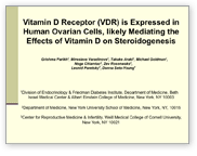 Vitamin D Receptor (VDR) is Expressed in Human Ovarian Cells, likely Mediating the Effects of Vitamin D on Steroidogenesis