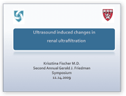 Ultrasound Induced Changes in Renal Ultrafication