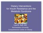 Dietary Interventions for Insulin Resistance and the Metabolic Syndrome