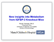 New insights into Metabolism from IGFBP-3 Knockout Mice